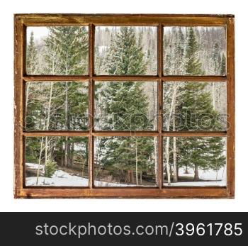 spruce and aspen grove in winter as seen through vintage, grunge, sash window with dirty glass - travel or vacation concept