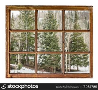 spruce and aspen grove in winter as seen through vintage, grunge, sash window with dirty glass - travel or vacation concept