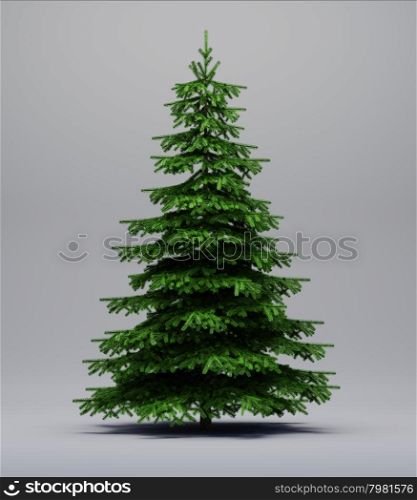 Spruce tree on a grey background with shadow