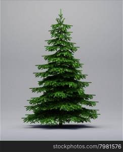 Spruce tree on a grey background with shadow