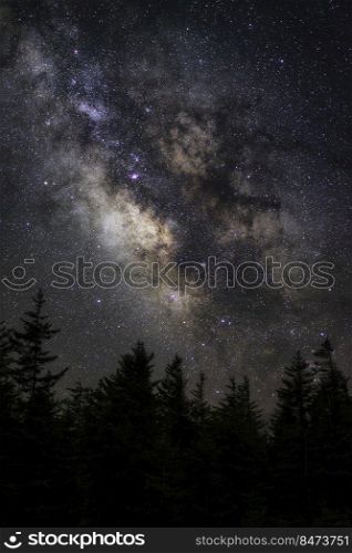 Spruce trees silhouetted against the dark night sky of Spruce Knob in West Virginia with the galactic core of our Milky Way galaxy glowing up above.