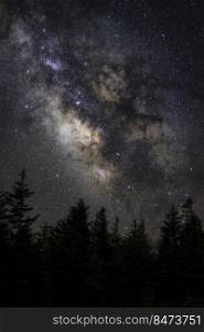Spruce trees silhouetted against the dark night sky of Spruce Knob in West Virginia with the galactic core of our Milky Way galaxy glowing up above.