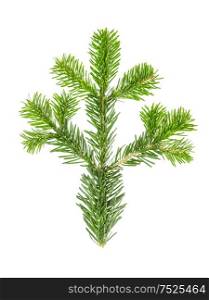 Spruce twigs. Branch of christmas tree isolated on white background