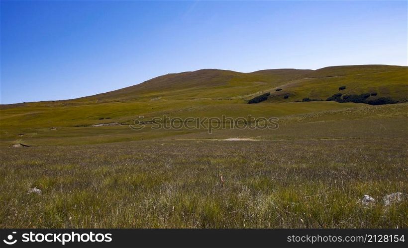 Spteppes grass land hills landscape