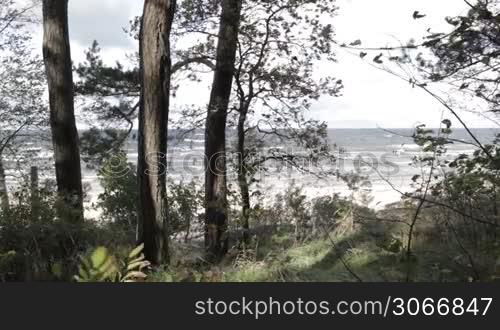 Squally wind on the shore of the Baltic sea.