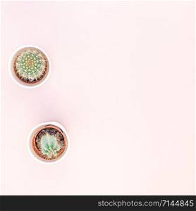 Square flat lay overhead top view small pots with decorative cactuses plants with copy space on millennial pink paper background in minimalism style. Trendy template for feminine blog, social media