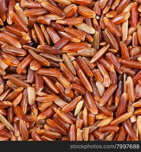 square food background - uncooked long grain Red Kernel rice close up