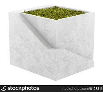 square moss pot isolated on white background
