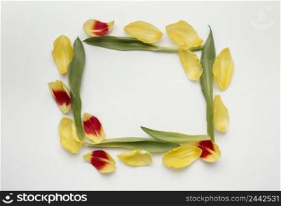 squared frame flower petals 2