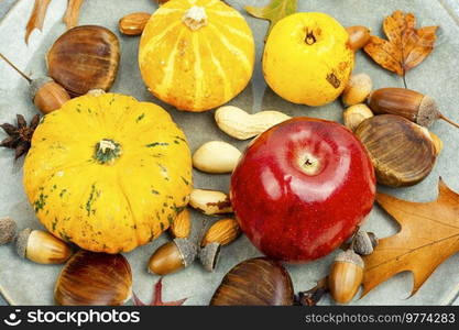 Squash with autumn fruit, apples, and set nuts, close up. Autumn still life. Autumn food, pumpkins and nuts.