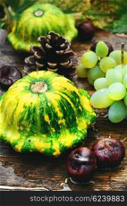 squashes,autumn conker and cones on