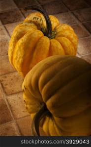 Squashes generally refer to four species of the genus Cucurbita native to Mexico and Central America, also called marrows or pumpkins depending on variety or the nationality of the speaker. It is also natively grown in other parts of North America, and in Europe, India, and Australia.