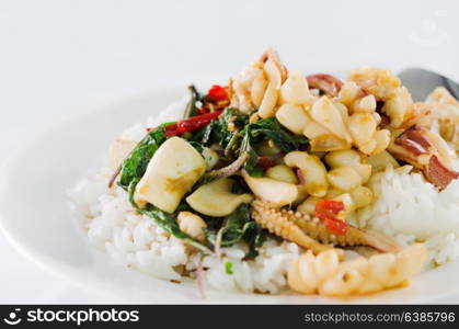 squid fried with chilli pepper and sweet basil and rice