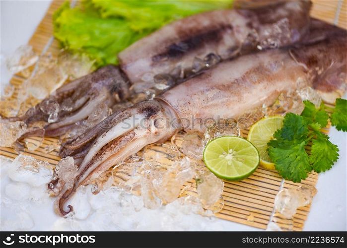 Squid on ice, Fresh raw squid with lettuce vegetable salad seafood coriander lemon lime on white plate background