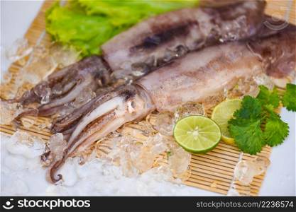 Squid on ice, Fresh raw squid with lettuce vegetable salad seafood coriander lemon lime on white plate background