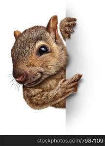Squirrel holding a blank sign with realistic fur and paws as a friendly cute furry rodent character gripping a billboard sign for advertising and marketing as an important and special message pertaining to wild animals and forest wildlife.