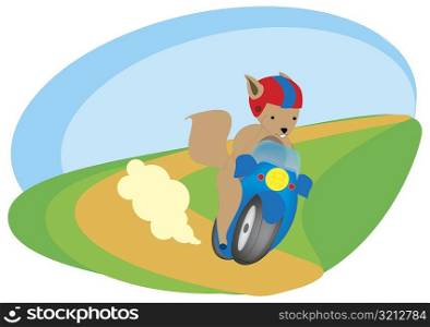 Squirrel riding a motorcycle