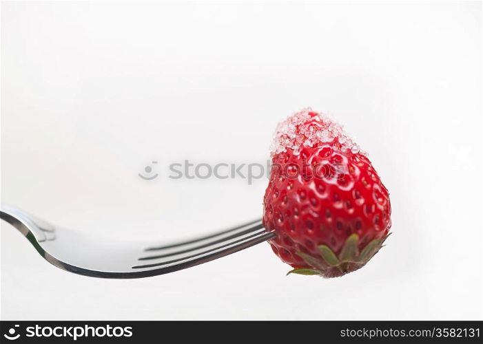 srawberry on a fork with sugar crust isolated over white