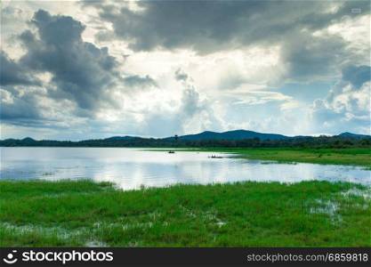 Sri Lanka Lake, Sri lanka landscape, Trees on water, Trees on lake