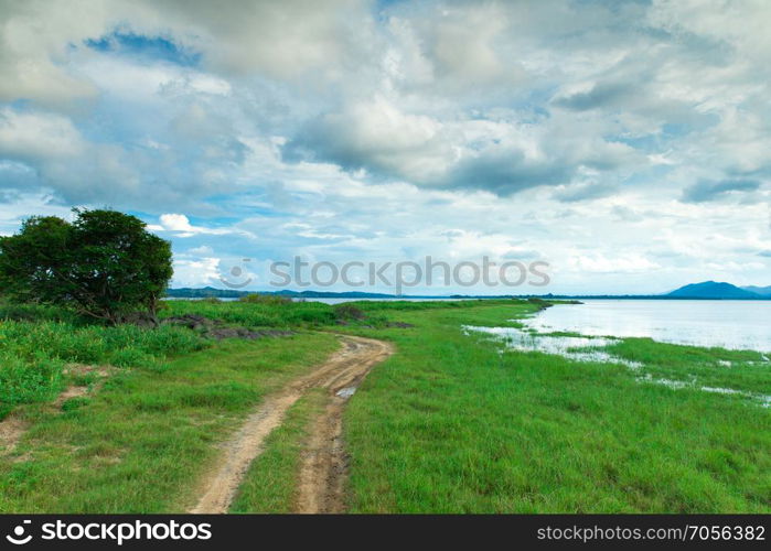 Sri Lanka Lake, Sri lanka landscape, Trees on water, Trees on lake