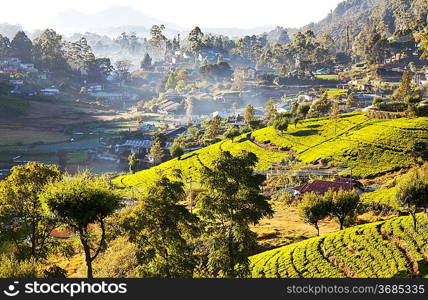 Sri Lanka landscapes