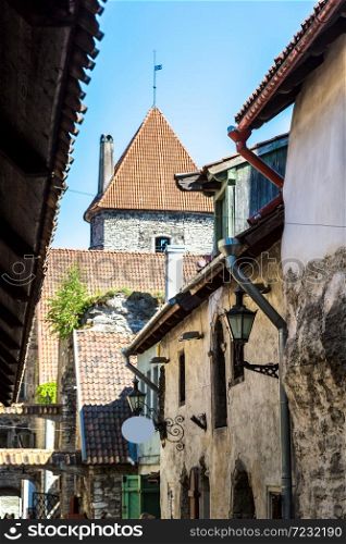 St Catherine&rsquo;s passage - historical cobbled street in old town of Tallinn in a beautiful summer day, Estonia