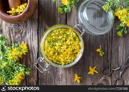 St. John's wort flowers macerating in olive oil in a glass jar, top view
