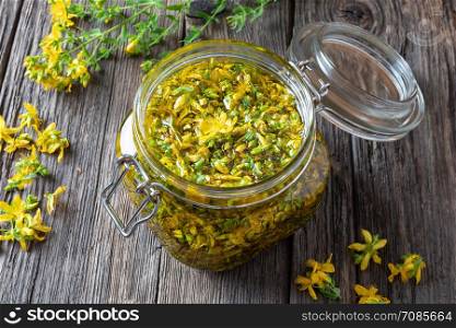 St. John&rsquo;s wort flowers macerating in olive oil in a jar