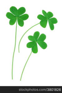 St. Patrick&rsquo;s clover border isolated on white background