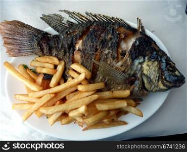 St. Peter&rsquo;s fish. grilled St. Peter&rsquo;s fish, a delicacy from the Sea of Galilee