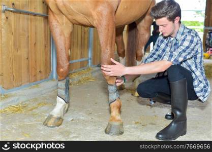 stable boy taking care of his horse