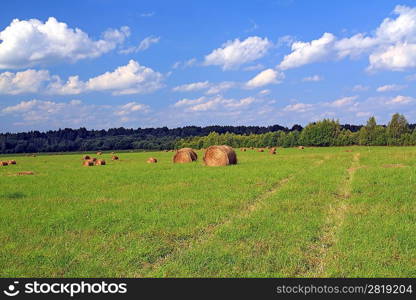 stack hay on summer field