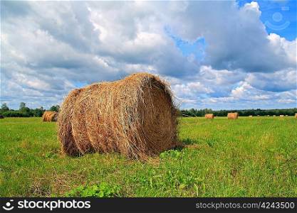 stack hay on summer field