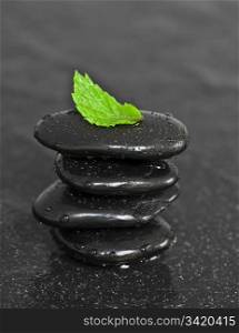 Stack of black wet pebbles with fresh green leaf