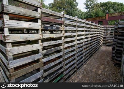stack of crates used for flower bulbs