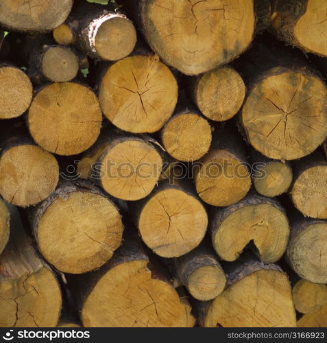 Stack of fire wood