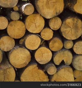 Stack of fire wood