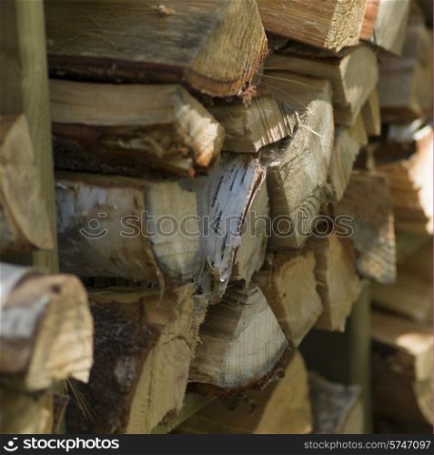 Stack of firewood, Lake of The Woods, Ontario, Canada