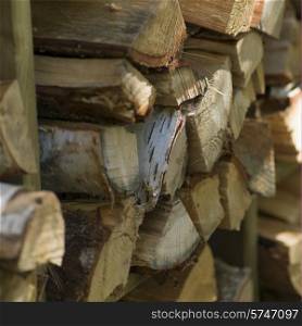 Stack of firewood, Lake of The Woods, Ontario, Canada