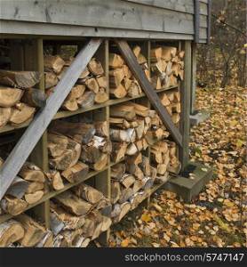 Stack of Firewood, Lake of The Woods, Ontario, Canada