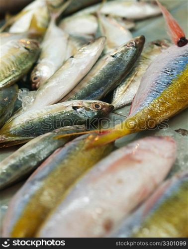 Stack of fishes in local market