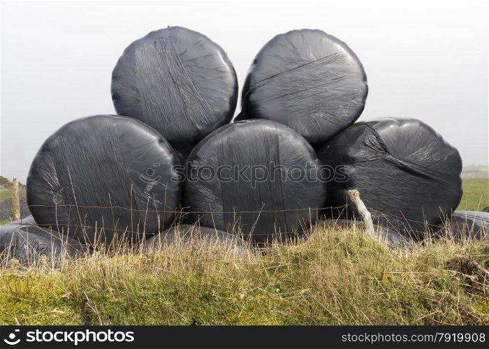 Stack of five silage bales, wrapped in black plastic, on small bank.