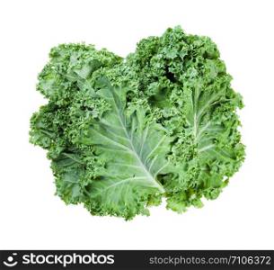 stack of fresh green leaves of curly-leaf kale (leaf cabbage) isolated on white background