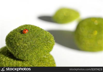 Stack of green stones and ladybug