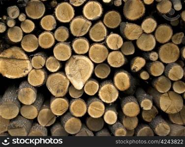 Stack of logs for firewood by a large plan