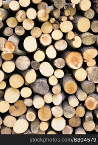 Stack of pile wood in woodhouse.