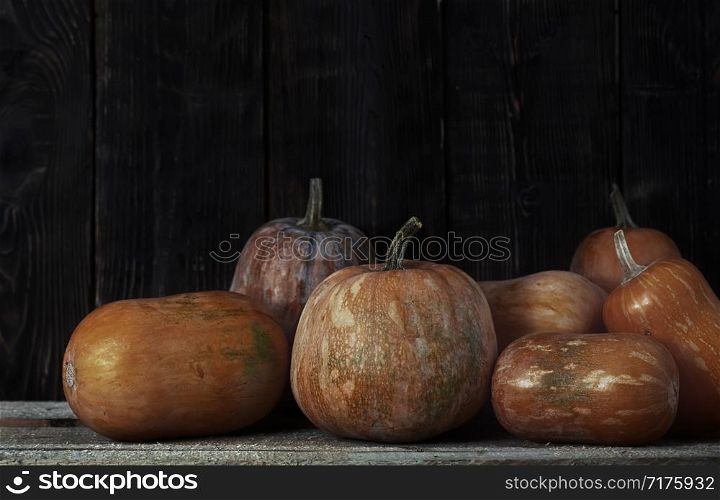 Stack of pumpkins after harvesting in rural place
