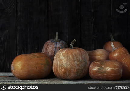 Stack of pumpkins after harvesting in rural place