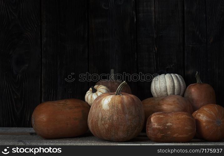 Stack of pumpkins after harvesting in rural place