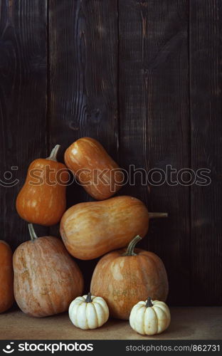 Stack of pumpkins after harvesting in rural place